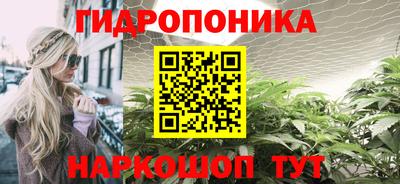 гашик Бузулук