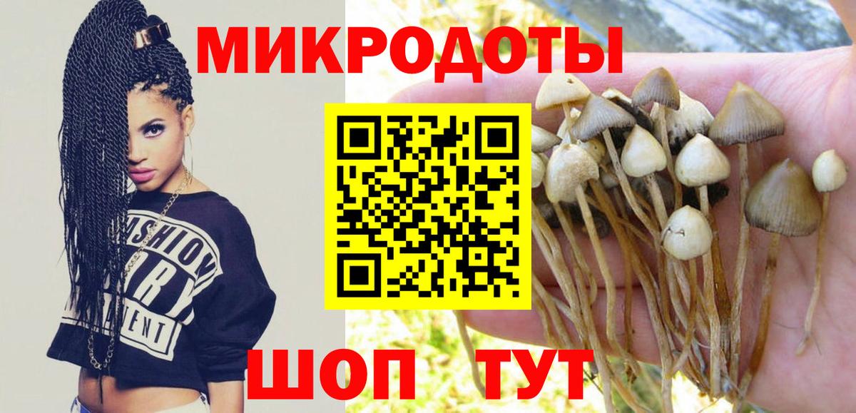 Уварово  Псилоцибиновые грибы MAGIC MUSHROOMS  Вход с VPN  Галлюциногенные грибы мухоморы 